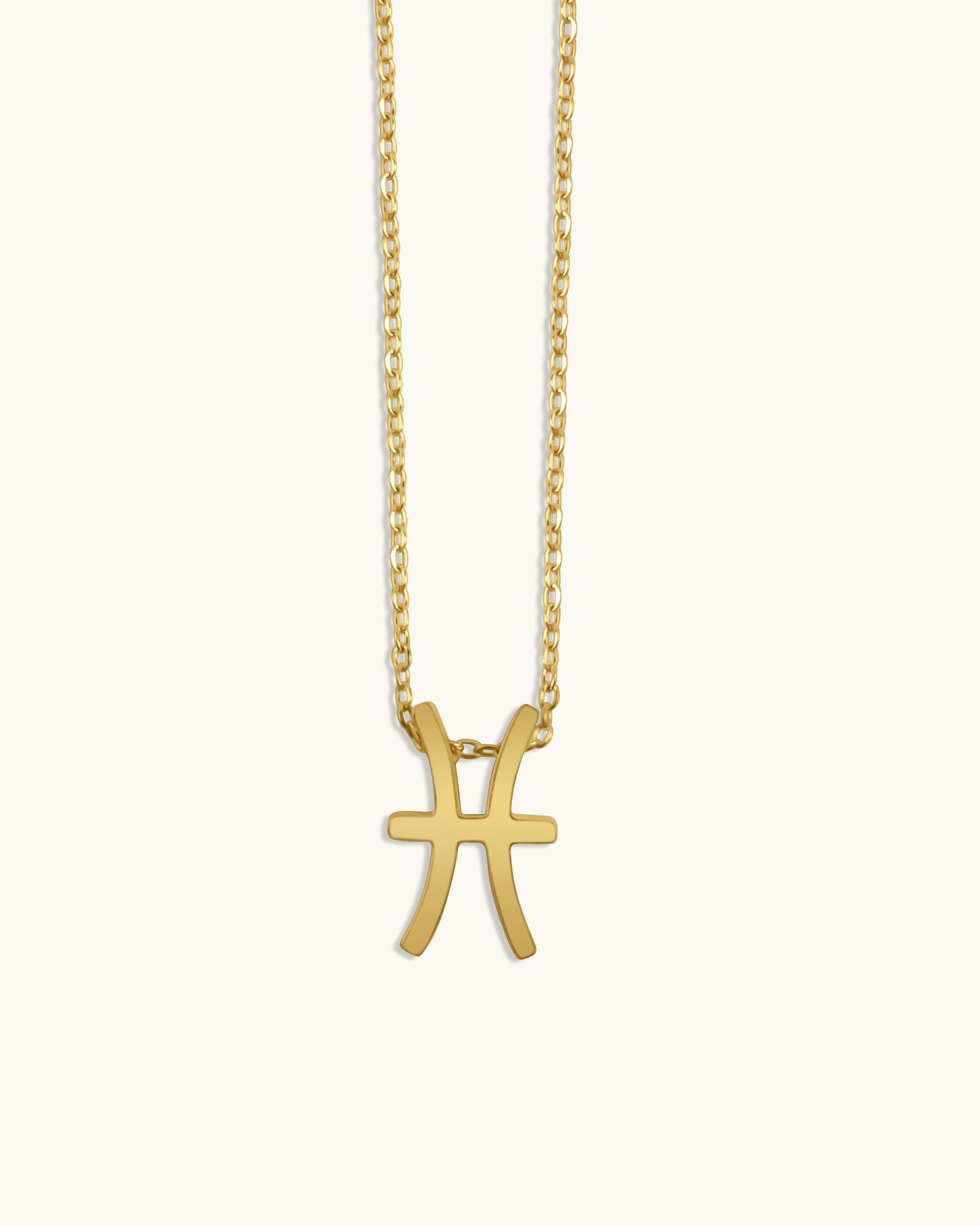 Sterrenbeeld Ketting