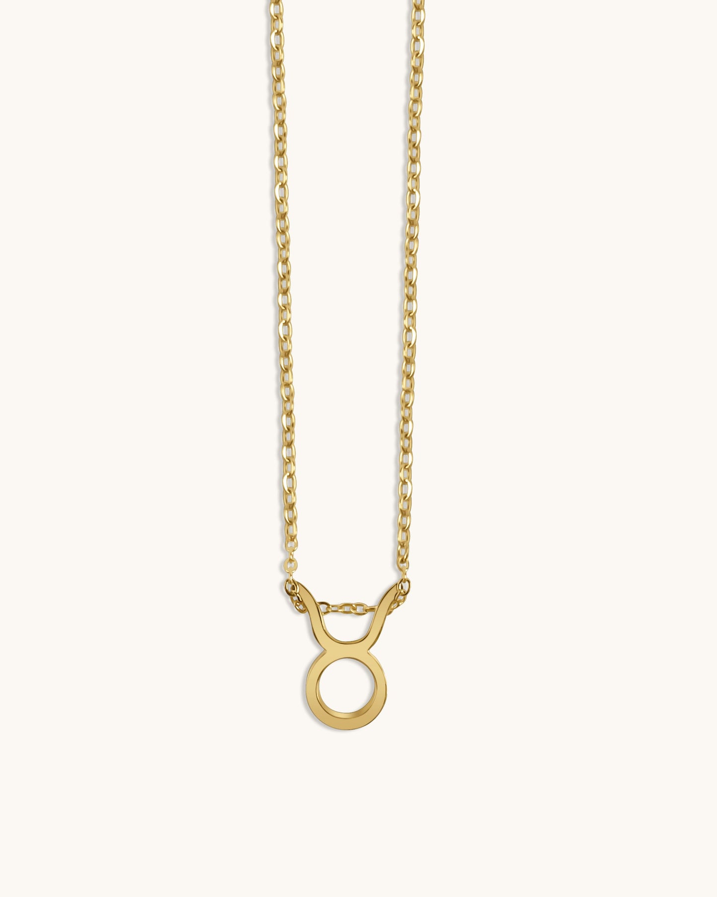 Sterrenbeeld Ketting